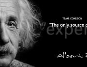 Einstein - Experience is knowledge